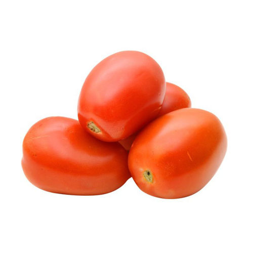 Buy Tomato Roma Online