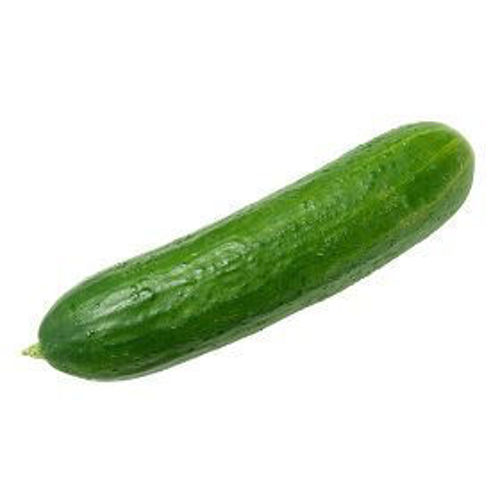 Buy Cucumber Online