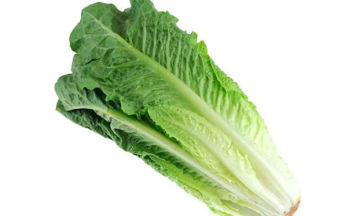 Buy Lettuce Romaine on Farzana.ae Buy Lettuce Romaine Online