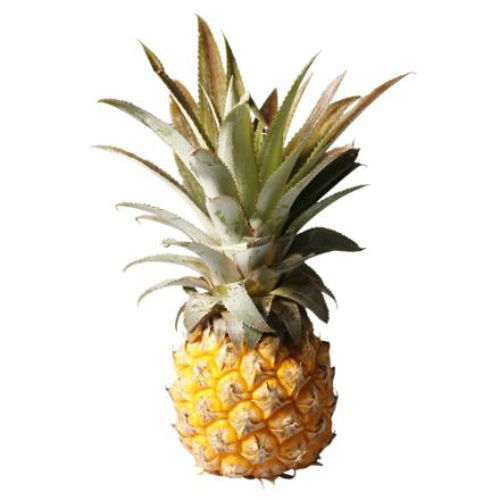 Buy Fresh Baby Pineapple Online