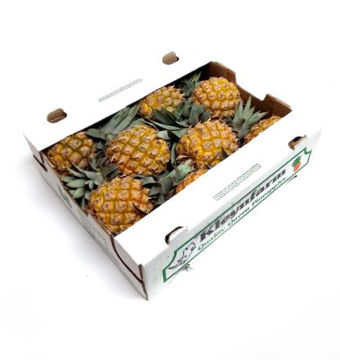 Buy Baby Pineapple Box Online on Farzana.ae Buy Baby Pineapple Box Online