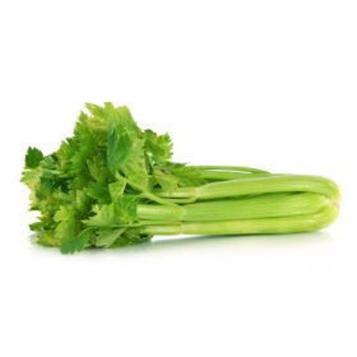 Buy Celery Online