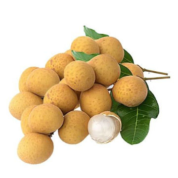 Buy Longan on Farzana.ae Buy Longan Online