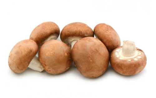 Buy Brown Mushroom Online