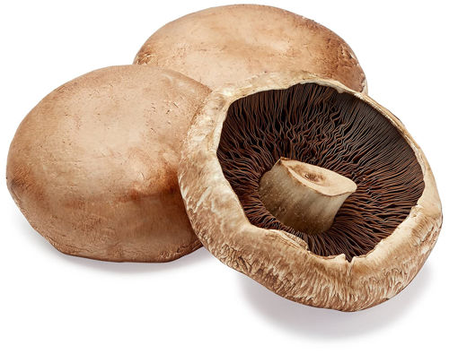 Buy Portabella Mushroom Online