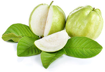 Buy Guava Online
