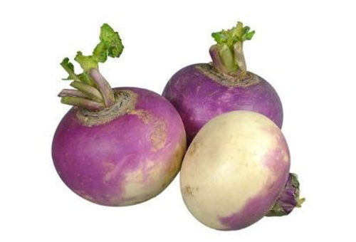 Buy Turnip Box Online