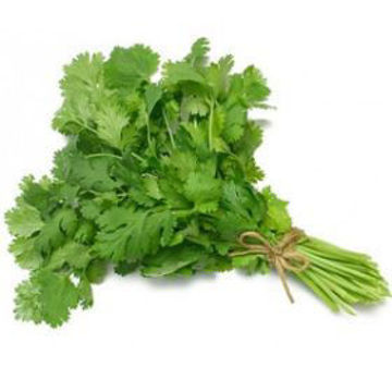 Buy Coriander on Farzana.ae Buy Coriander Online