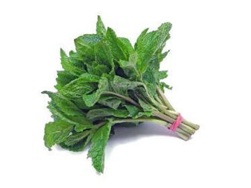 Buy Mint on Farzana.ae Buy Mint Online