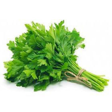Buy Parsley on Farzana.ae Buy Parsley Online