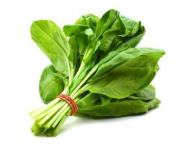 Buy Spinach Green on Farzana.ae Buy Spinach Green Online