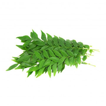 Buy Curry Leaves on Farzana.ae Buy Curry Leaves Online