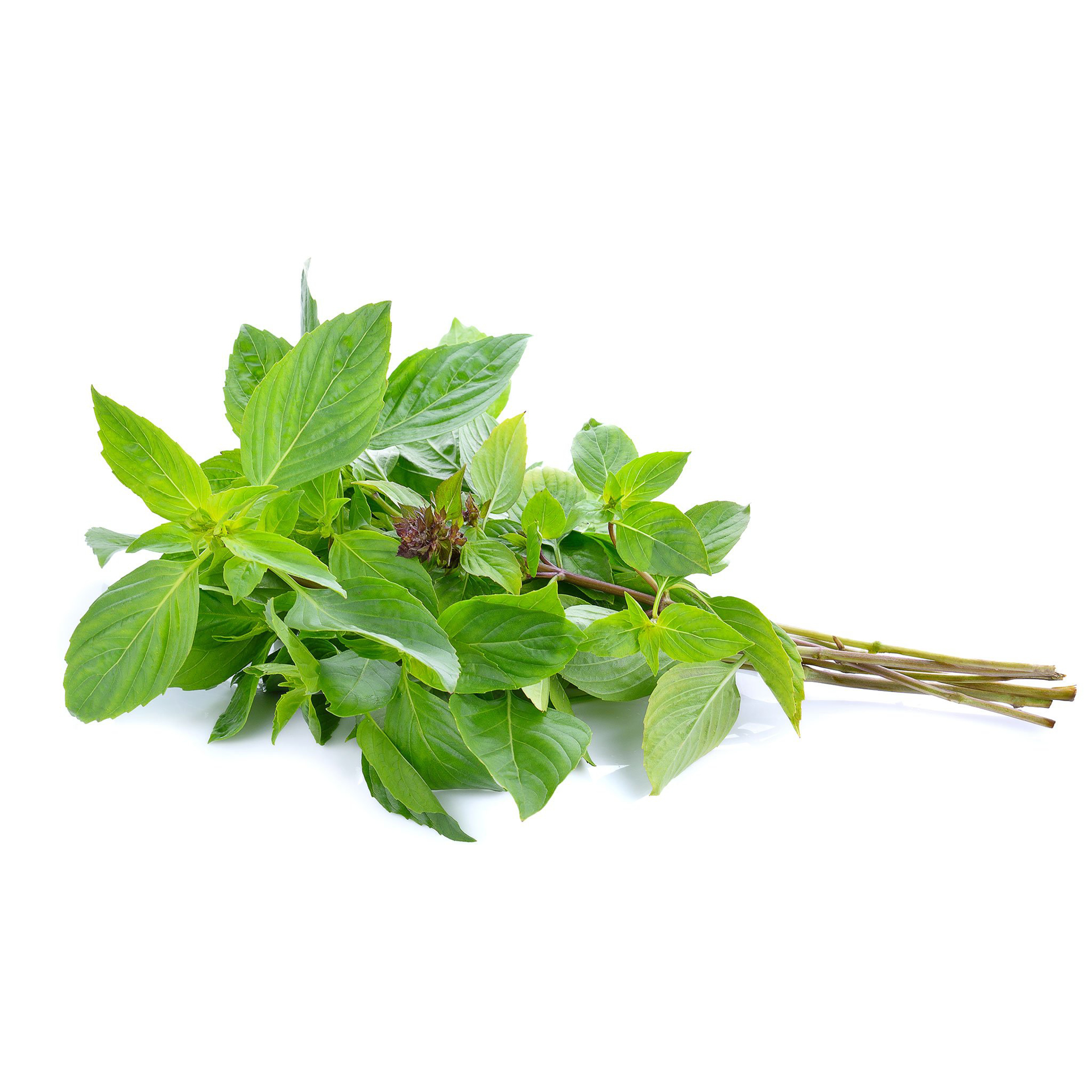 Farzana Buy Basil Leaves Online At The Best Price