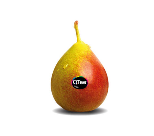 Buy Pears Qtee Red Online