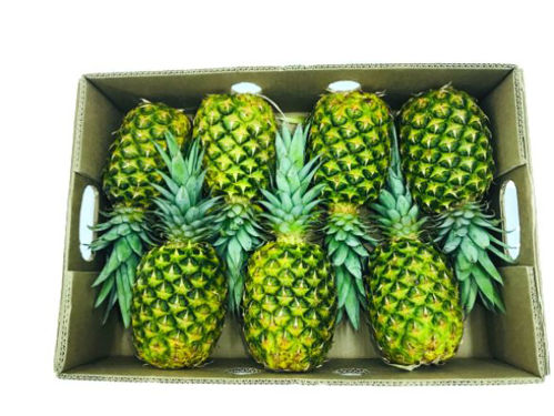 Buy Pineapple Box Online