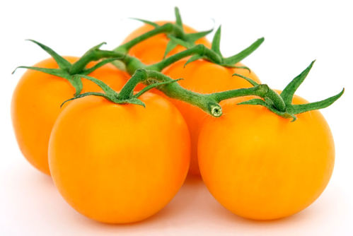 Buy Tomato Orange Online