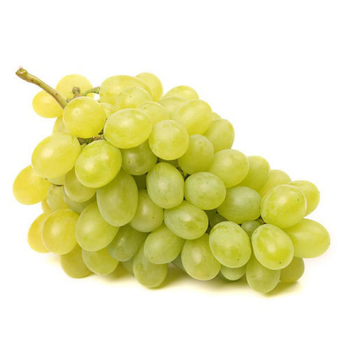 Fresh White Seedless Thompson Grapes – crisp and sweet