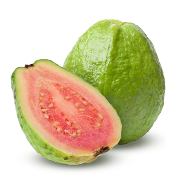 Fresh Guava Pink – Sweet, juicy tropical fruit with vibrant pink flesh