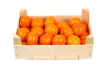 Buy Mandarin Nadorocott Sweet Box Online