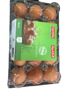 Buy Farmila Brown Eggs Online