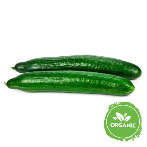 Buy Organic Cucumber English Online