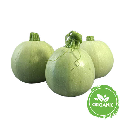 Buy Organic Zucchini Round White Online