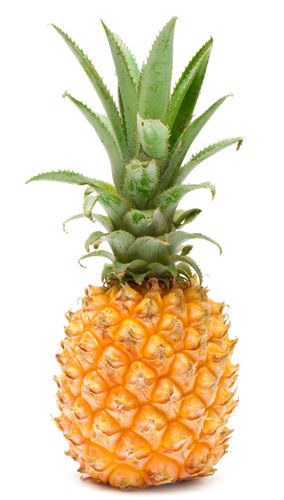 Buy Baby Pineapple (Extra Sweet) Online