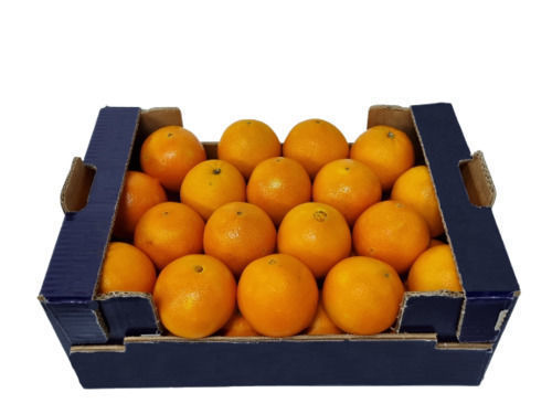 Buy Orange Navel Box Online
