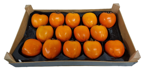 Buy Persimmon Box Online