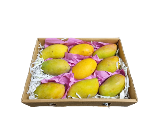  Buy Mango Timour Box Online