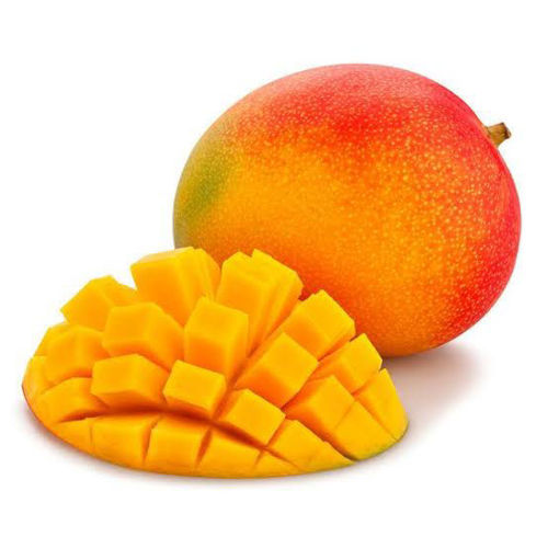 Buy Mango R2E2 Online