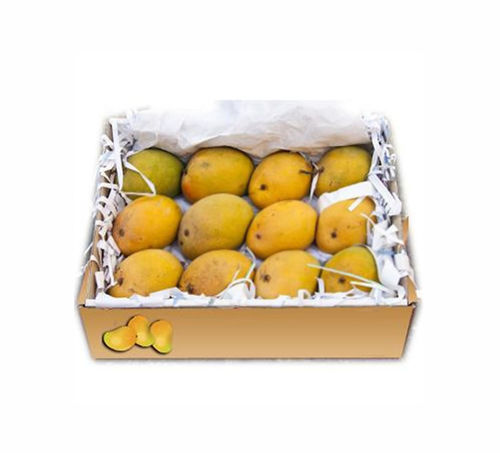 Buy Mango Alphonso Box Online