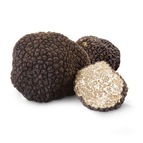 Picture of Fresh Black Summer Truffle
