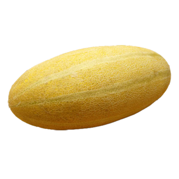 Buy Sweet melon Mashadi Online