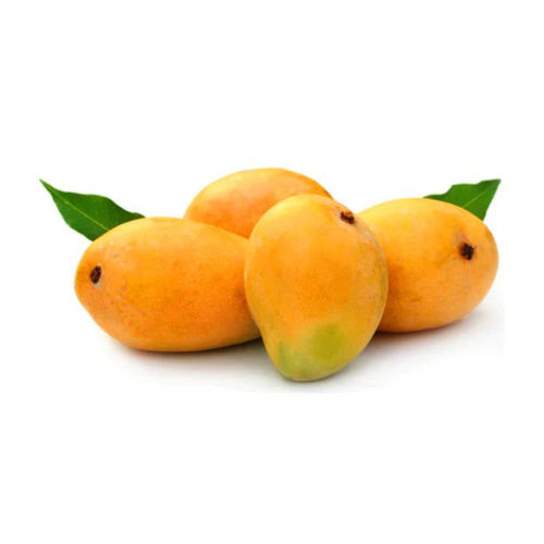 Buy Mango Alphonso (Pakistan) Online