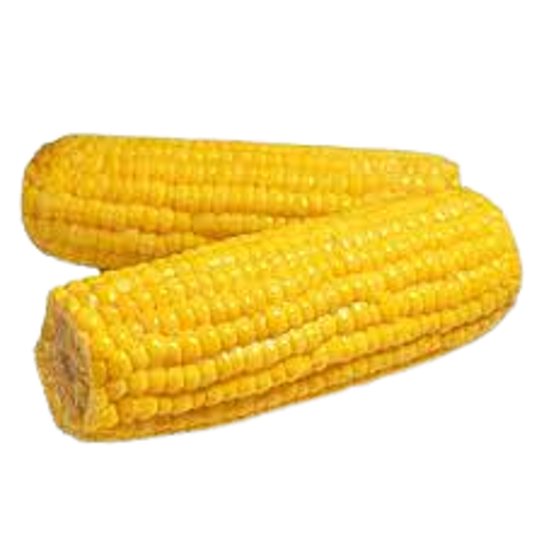 Buy Sweet Corn Pre-cooked Online
