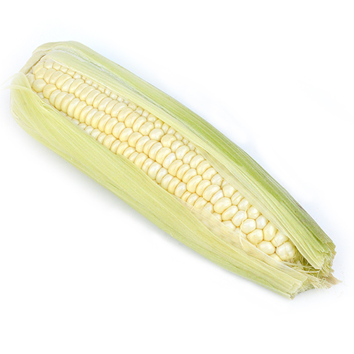 Buy White Corn Online