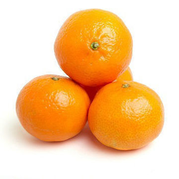 Buy Baby Mandarin Nova Online