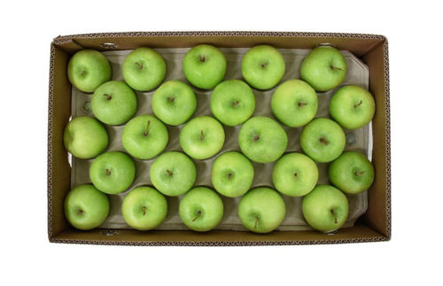 Fresh Apple Green Box Online