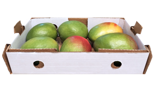 Buy Mango Kent Box Online