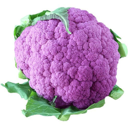 Buy Cauliflower Purple Online
