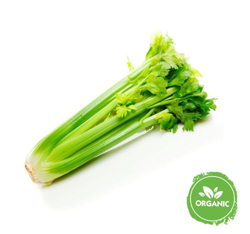 Buy Organic Celery Online