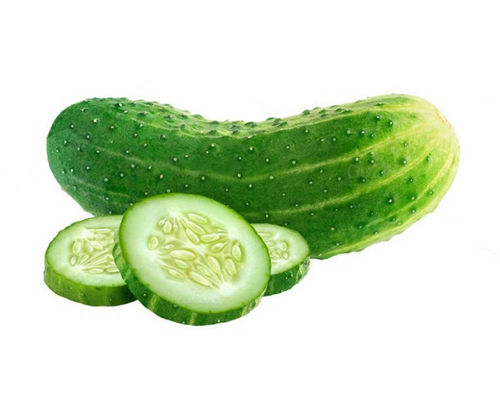 Buy Orzu Cucumber Online