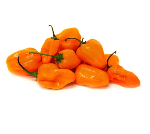 Buy Chilli Habanero Orange Online