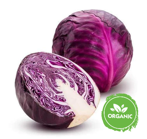 Buy Organic Cabbage Red Online