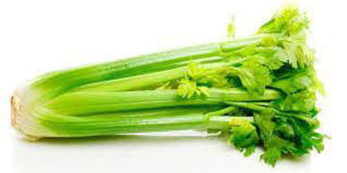 Picture of Celery
