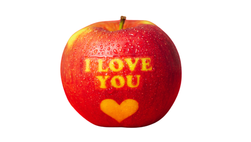 Picture of Love Apple