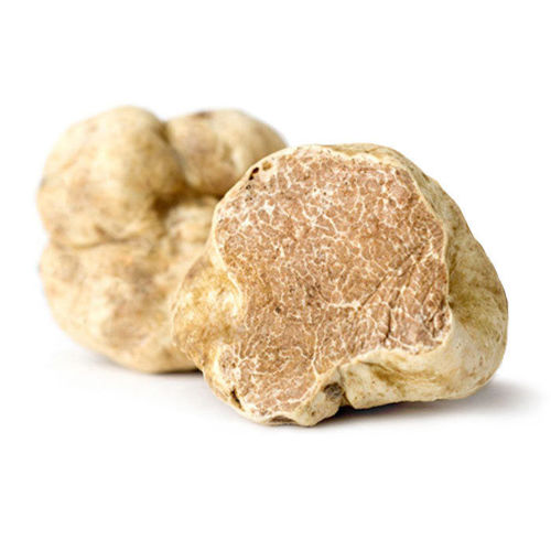 Picture of Fresh White Summer Truffle