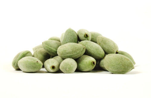 Picture of Green Almonds