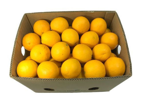 Buy Orange Valencia Box (100 pcs) Online